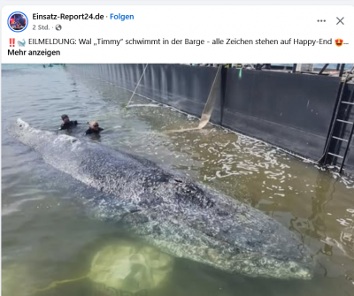 Screenshot 2026-04-28 at 20-49-06 Facebook.png