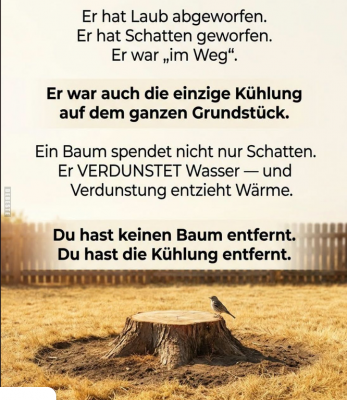Screenshot 2026-09-27 at 13-05-32 DEBESTE.de Lustige Bilder Witze Videos und fb Sprüche.png